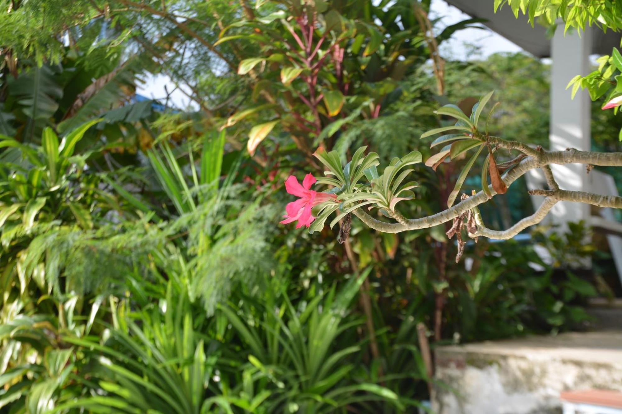 Baan Suan Villa 1 パトン エクステリア 写真
